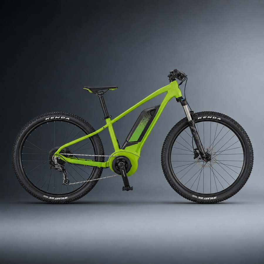 Scott E-roxter 26" — junior bike for rent